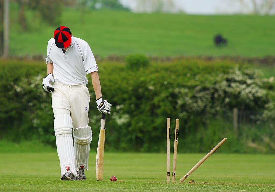 cricket-stumps-ball-sport (1)